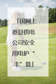 国网上蔡县供电公司安全用电护“丰”景
