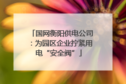 国网衡阳供电公司：为园区企业拧紧用电“安全阀”