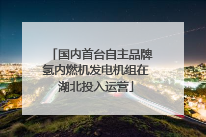 国内首台自主品牌氢内燃机发电机组在湖北投入运营