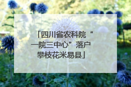 四川省农科院“一院三中心”落户攀枝花米易县