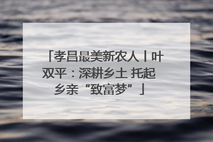 孝昌最美新农人丨叶双平：深耕乡土 托起乡亲“致富梦”