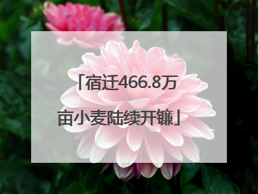 宿迁466.8万亩小麦陆续开镰