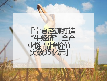 宁夏泾源打造“牛经济”全产业链 品牌价值突破35亿元