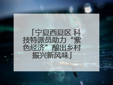 宁夏西夏区 科技特派员助力“紫色经济”酿出乡村振兴新风味