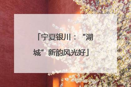 宁夏银川：“湖城”新韵风光好
