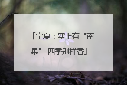 宁夏：塞上有“南果” 四季别样香