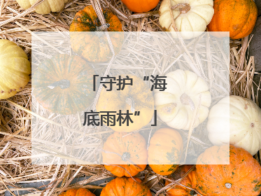 守护“海底雨林”