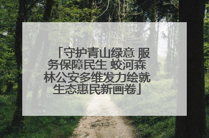 守护青山绿意 服务保障民生 蛟河森林公安多维发力绘就生态惠民新画卷