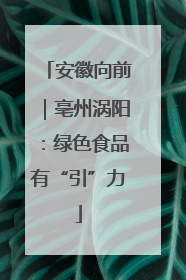 安徽向前｜亳州涡阳：绿色食品有“引”力