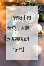 安阳市内黄县：人居环境整治进行时