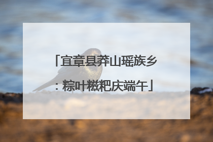 宜章县莽山瑶族乡：粽叶糍粑庆端午