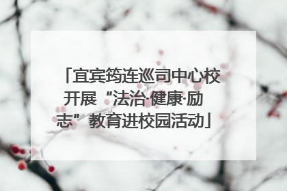 宜宾筠连巡司中心校开展“法治·健康·励志”教育进校园活动