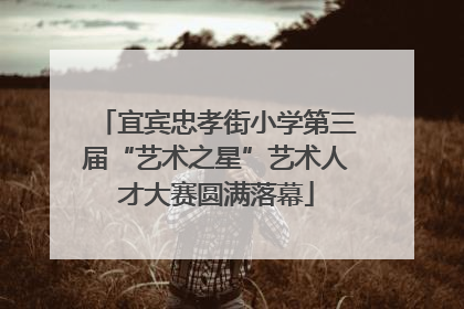 宜宾忠孝街小学第三届“艺术之星”艺术人才大赛圆满落幕