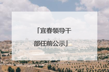 宜春领导干部任前公示