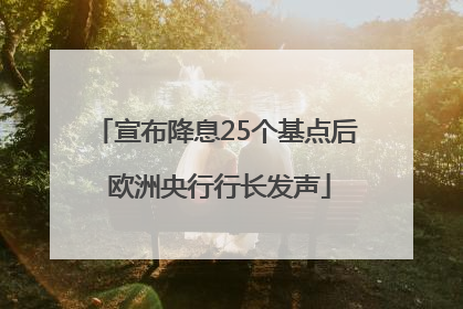 宣布降息25个基点后 欧洲央行行长发声