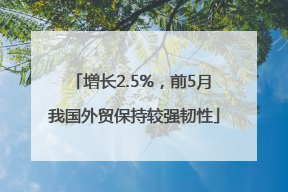 增长2.5%，前5月我国外贸保持较强韧性
