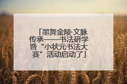 墨舞金陵·文脉传承——书法研学暨“小状元书法大赛”活动启动了