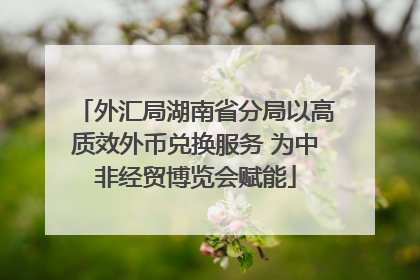 外汇局湖南省分局以高质效外币兑换服务 为中非经贸博览会赋能