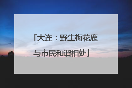 大连：野生梅花鹿与市民和谐相处