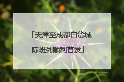 天津至成都白货城际班列顺利首发