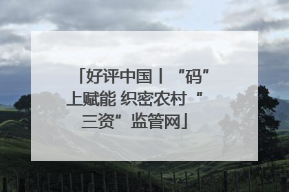 好评中国丨“码”上赋能 织密农村“三资”监管网