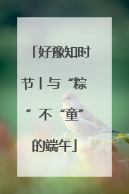 好豫知时节丨与“粽”不“童”的端午