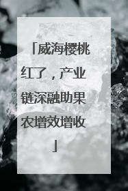 威海樱桃红了，产业链深融助果农增效增收