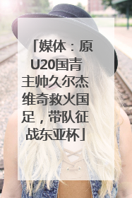 媒体：原U20国青主帅久尔杰维奇救火国足，带队征战东亚杯