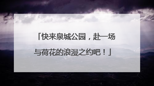 快来泉城公园，赴一场与荷花的浪漫之约吧！