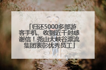 归还5000多部游客手机、收到近千封感谢信！尧山大峡谷漂流集团表彰优秀员工