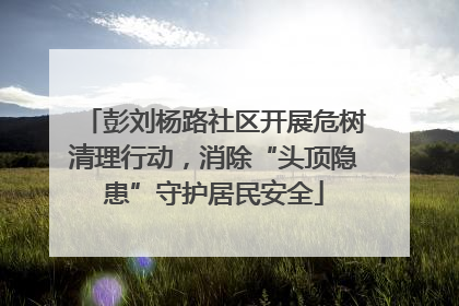 彭刘杨路社区开展危树清理行动，消除“头顶隐患”守护居民安全