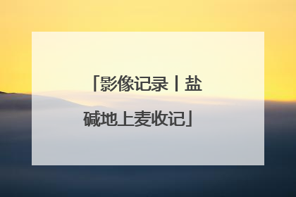 影像记录丨盐碱地上麦收记