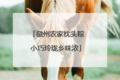 徽州农家枕头粽 小巧玲珑乡味浓
