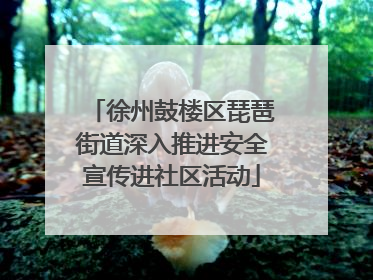 徐州鼓楼区琵琶街道深入推进安全宣传进社区活动