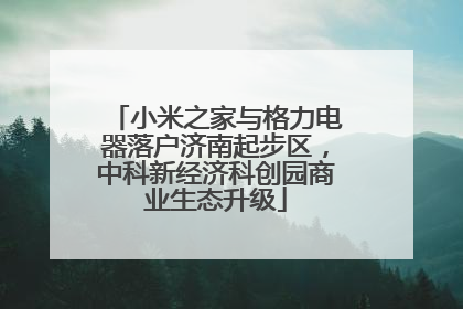 小米之家与格力电器落户济南起步区，中科新经济科创园商业生态升级