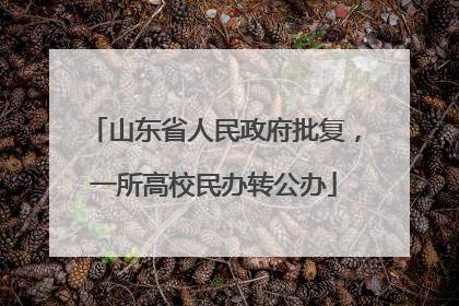 山东省人民政府批复，一所高校民办转公办