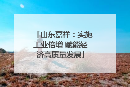山东嘉祥：实施工业倍增 赋能经济高质量发展