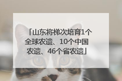 山东将梯次培育1个全球农遗、10个中国农遗、46个省农遗