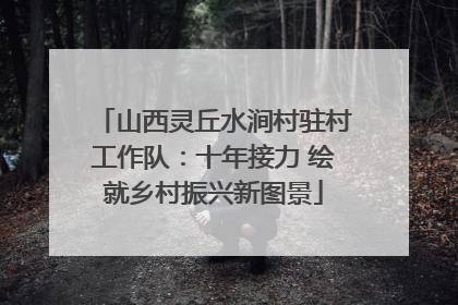 山西灵丘水涧村驻村工作队：十年接力 绘就乡村振兴新图景