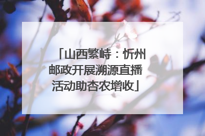 山西繁峙：忻州邮政开展溯源直播活动助杏农增收