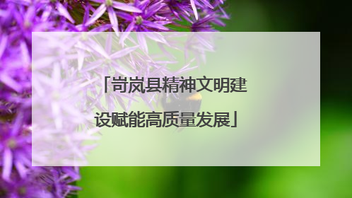 岢岚县精神文明建设赋能高质量发展
