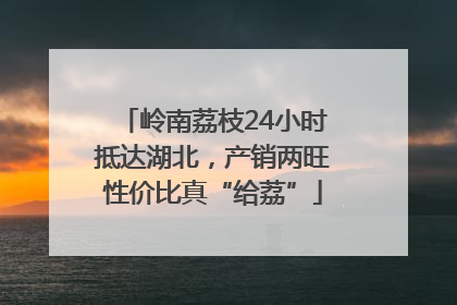 岭南荔枝24小时抵达湖北，产销两旺性价比真“给荔”