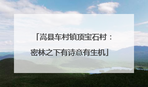 嵩县车村镇顶宝石村：密林之下有诗意有生机