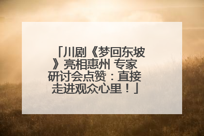 川剧《梦回东坡》亮相惠州 专家研讨会点赞：直接走进观众心里！