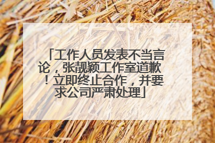 工作人员发表不当言论，张靓颖工作室道歉！立即终止合作，并要求公司严肃处理