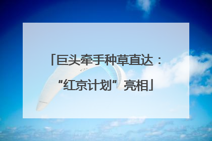 巨头牵手种草直达：“红京计划”亮相