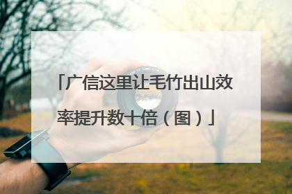 广信这里让毛竹出山效率提升数十倍（图）
