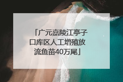 广元嘉陵江亭子口库区人工增殖放流鱼苗40万尾