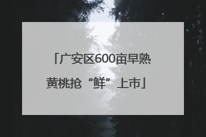 广安区600亩早熟黄桃抢“鲜”上市
