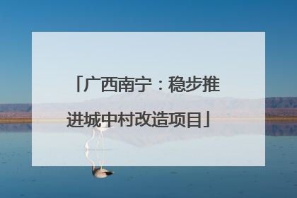 广西南宁：稳步推进城中村改造项目